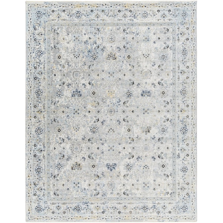 Livabliss Hassler HSL-2302 Machine Crafted Area Rug HSL2302-53RD